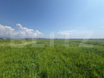 Teren Extravilan, 10.000 de mp, langa Centura Noua din Targu