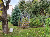 Teren central Suceava