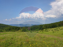 Teren 130000 mp extravilan Munteni - Bulz, Negreni