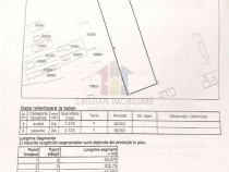 10.000mp Teren intravilan posibil lotizare , posib toate uti