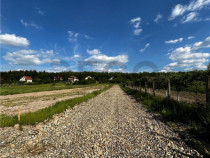 RECO Teren Intravilan, Alparea, Comuna Osorhei