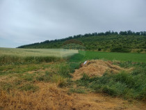 Teren extravilan 18200 mp Reghin