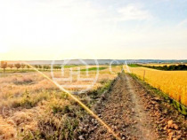 Teren intravilan de vanzare in Alparea, Bihor