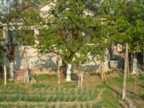 Casa in Zorleni la 5 km de Barlad
