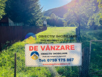 TEREN intravilan 8.000 mp TARCAU