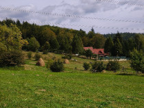 Teren intravilan situat in Traisteni