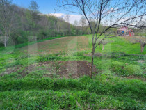 Teren 6650 mp, cu casa nefinalizata de 111 mp, in Nisipoasa