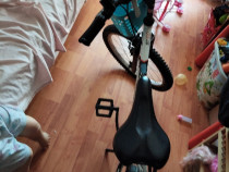 O bicicleta mare