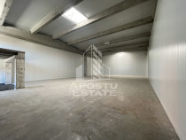 Hala in parc industrial, depozitare sau productie, 523 mp