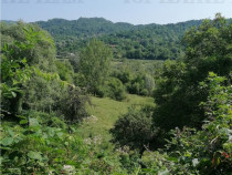 Teren 11230 m.p. Conac - necesita renovare