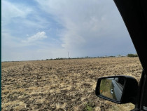 Vand teren în Popesti Leordeni 8700 mp2