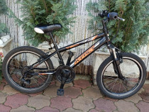 Bicicleta pentru copii, X Fact, Rookie 20 inch