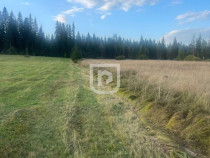 Teren intravilan – Poiana Stampei ????