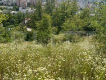 Casă Str. Negoiului, 2.249 mp teren, zonă liniștită, ved