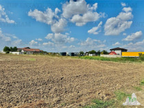 Oferta speciala luna aceasta / Teren de / 2500 mp in Frumu