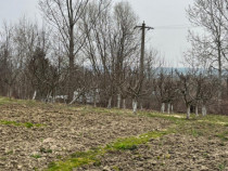 Teren intravilan, 2100 mp, deschidere 26 ml - Siret