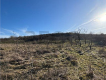 RECO Teren intravilan 2460 mp Santelec