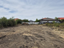 Teren intravilan 1000 mp - Domnesti