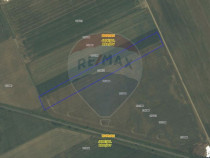 Teren 16,200mp Harman / DN 10