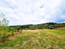 Teren 1,4 hectare Draganu Arges