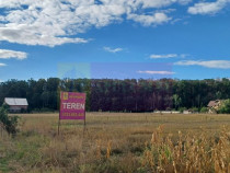 Gulia teren 11.157 mp, l&acirc;ngă Pădurea Cereanca