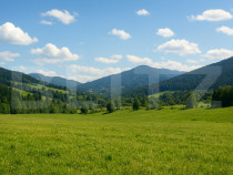 Teren intravilan de vanzare, 7.000 mp, Vatra Dornei