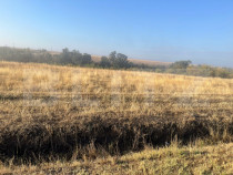 Teren intravilan, 2.500 mp, sat Sarbatoarea