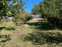 Teren 1128 intravilan constructii Darmanesti Arges