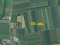 Teren extravilan pe 11.700mp, Coseni, Covasna