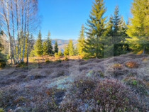 Teren intravilan 3120 mp &ndash; Munții Apuseni, Sohodol (com.