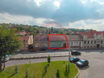 Casă / Vilă cu 4 camere de v&acirc;nzare Ultracentral Str. L...