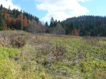 Predeal-Teren intravilan situat in Paraul Rece