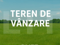 Teren de vanzare, 6736 mp, sat Rosiori