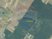 Teren 10,000mp Afumati | Padure | Soseaua Petrachioaia