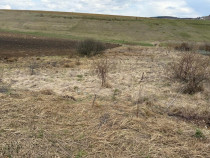 Teren pentru constructie casa in Salicea