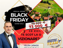 FILM!Doua case traditionale,pe domeniu cu peste 5.000mp tere