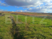 Teren extravilan, 7800 mp, intrare &icirc;n Șimleu Silvanie