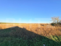 Teren intravilan 1.130 mp ,in Vetis