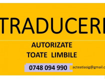TRADUCERI ACTE AUTO