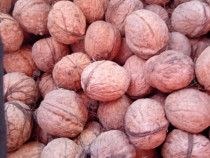 Nuci calitate bună pentru detalii sunați la nr. telefon
