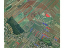 Teren 9,115mp Nuci / Drumul Tarla 58