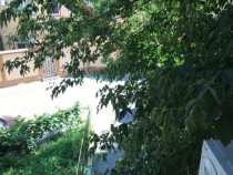 Vitan fizicienilor lacramioarei