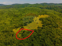 COMISION 0% Teren 6,572 mp/Curți construcții/ Intravilan