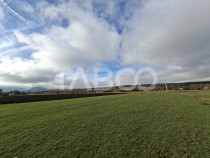 Teren intravilan de vanzare in Rasinari zona Calinis - 890 m