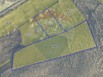 Teren / Padure 8ha Lunca Siretului.