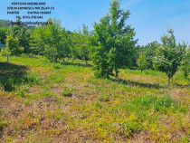 Teren zona Pietricica, cadru natural superb