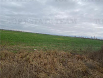 Teren Extravilan in Prahova