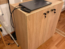 Dulăpior cu utilitate multiplă-2 bucati