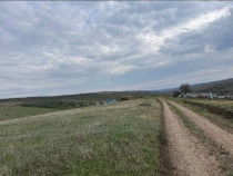 Teren extravilan Perieni, cota parte 6/16 , ID: R2822105