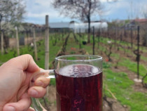 Vin demisec/tuica minim 40°